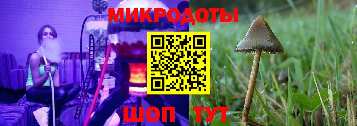 Псилоцибиновые грибы MAGIC MUSHROOMS Лобня