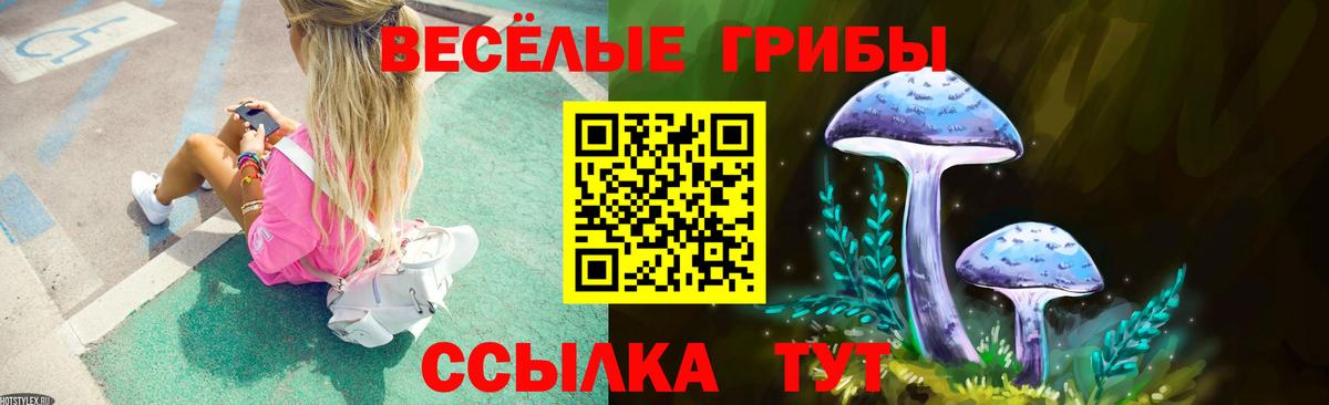 Лобня  Псилоцибиновые грибы прущие грибы  Галлюциногенные грибы GOLDEN TEACHER  Вход с VPN 